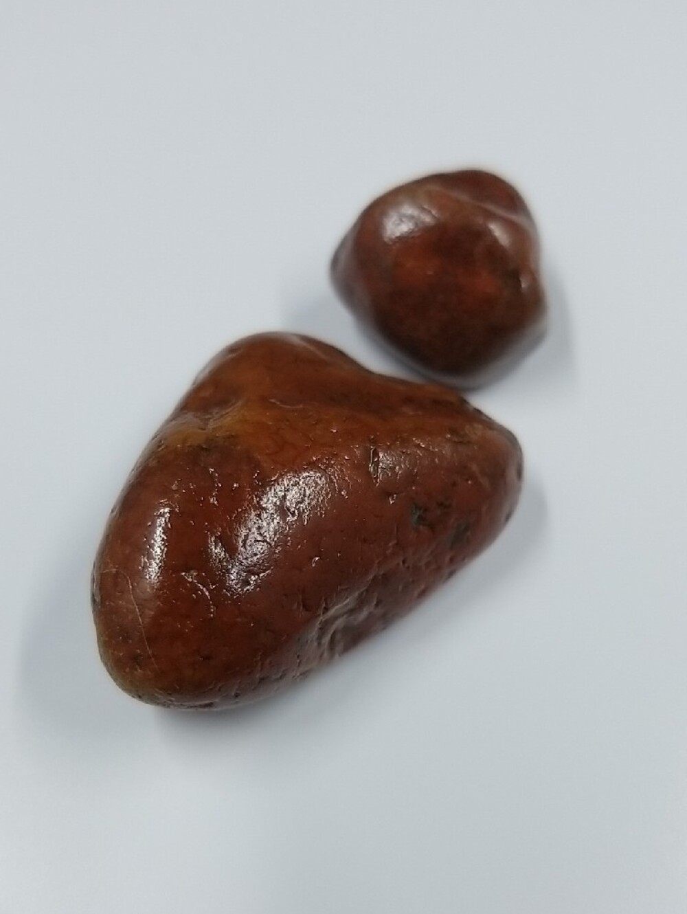 Varnished Rock Specimens - Red-Orange Tongue Lot